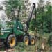 Těžba dřeva traktor
